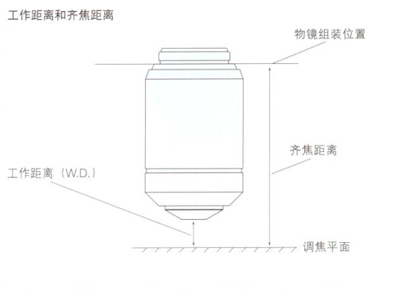 显微镜工作距离和齐焦距离
