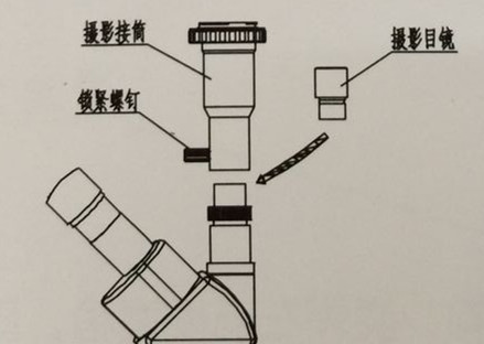 舜宇ST60体视显微镜操作图8