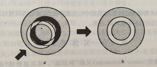相差显微镜光源的调节